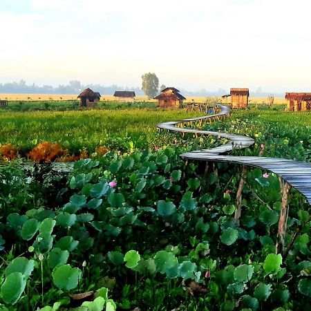 Viet Mekong Farmstay Tràm Chim Exterior foto