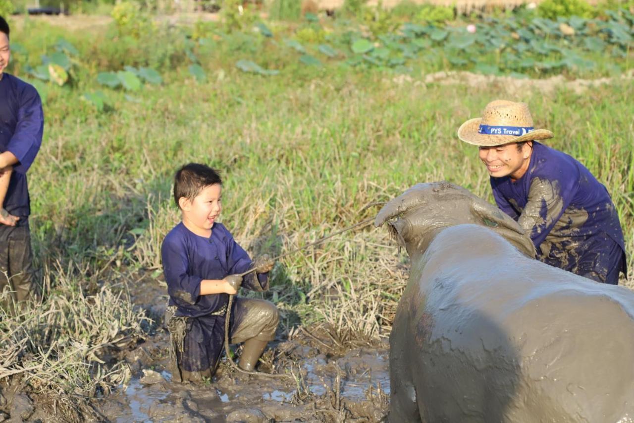 Viet Mekong Farmstay Tràm Chim Exterior foto